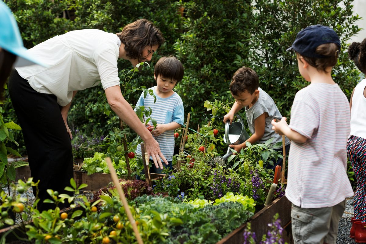An adult working alongside children in a garden bed